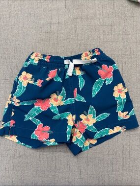Chubbies Boys Toddler SwimSuit 2T